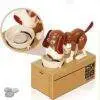 Birthday Gift My Dog Piggy Bank
