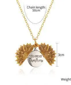 Gold Silver Open Locket You Are My Sunshine Sunflower Necklace For Women