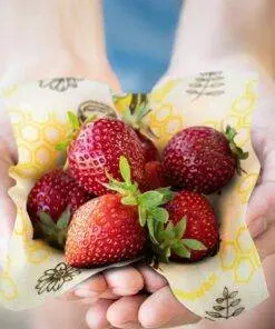 Reusable Nature Beeswax Food Wraps 1 Meter Roll