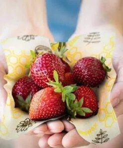Reusable Nature Beeswax Food Wraps 1 Meter Roll
