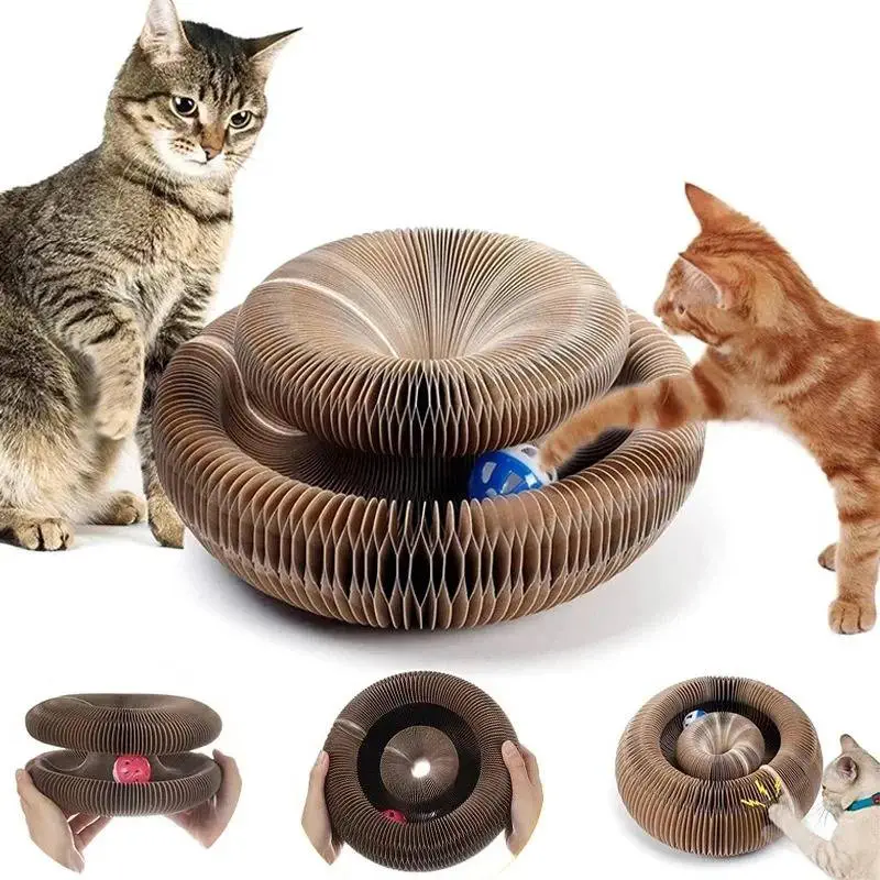 Magic Cat Scratching Organ Board with Ball & Claw Grinder Toy