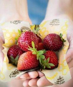 Reusable Nature Beeswax Food Wraps 1 Meter Roll